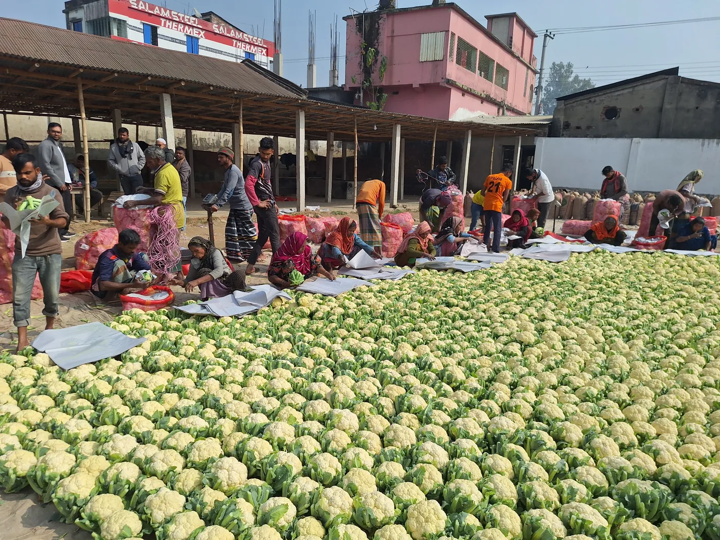 Produce aggregation with market workers preparing vegetables for movement