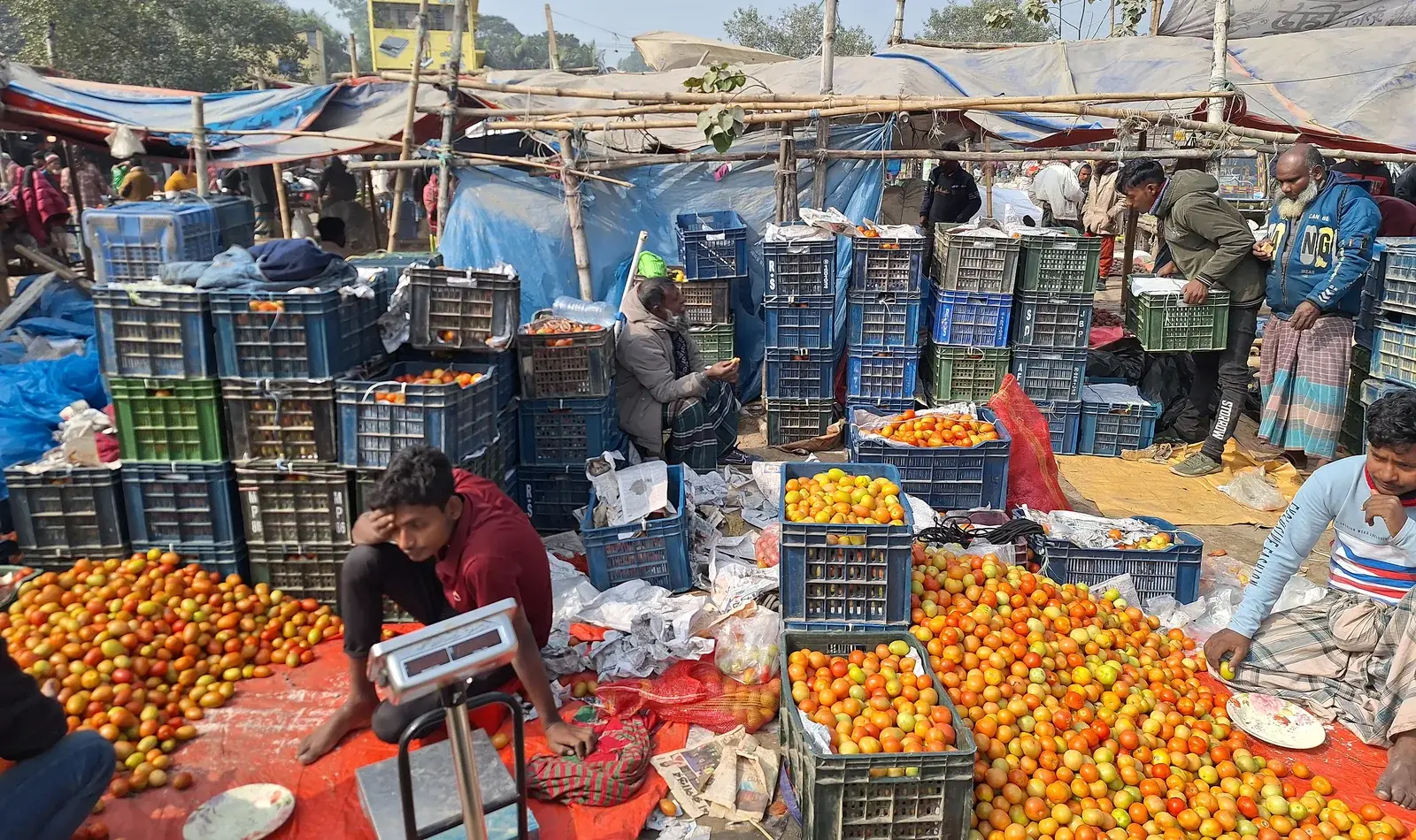 Wholesale produce being sorted and weighed among market crates