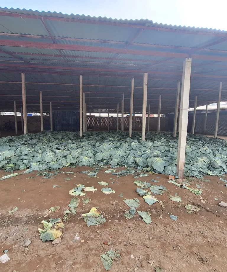 Produce under collection
