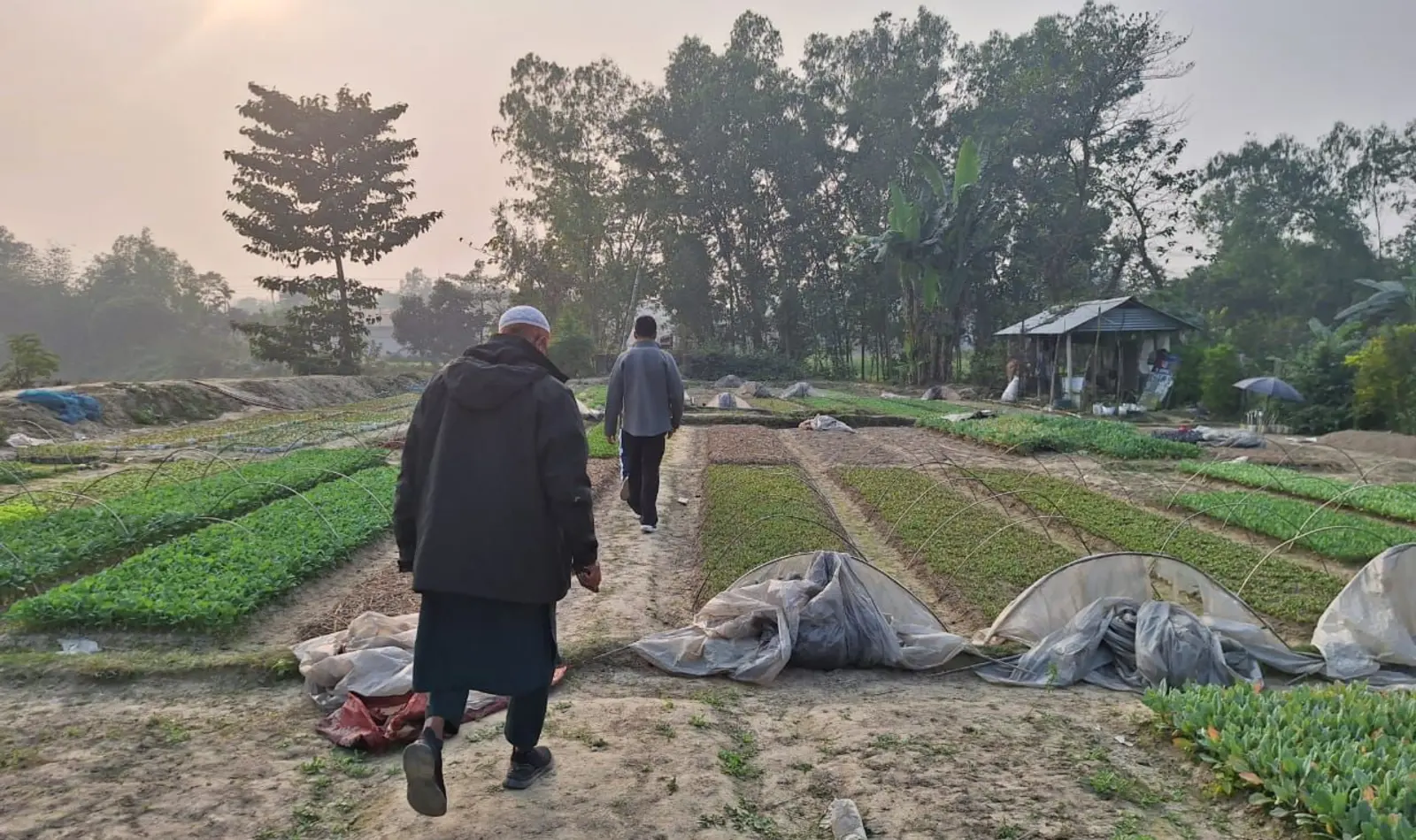 Field delivery partnership visit