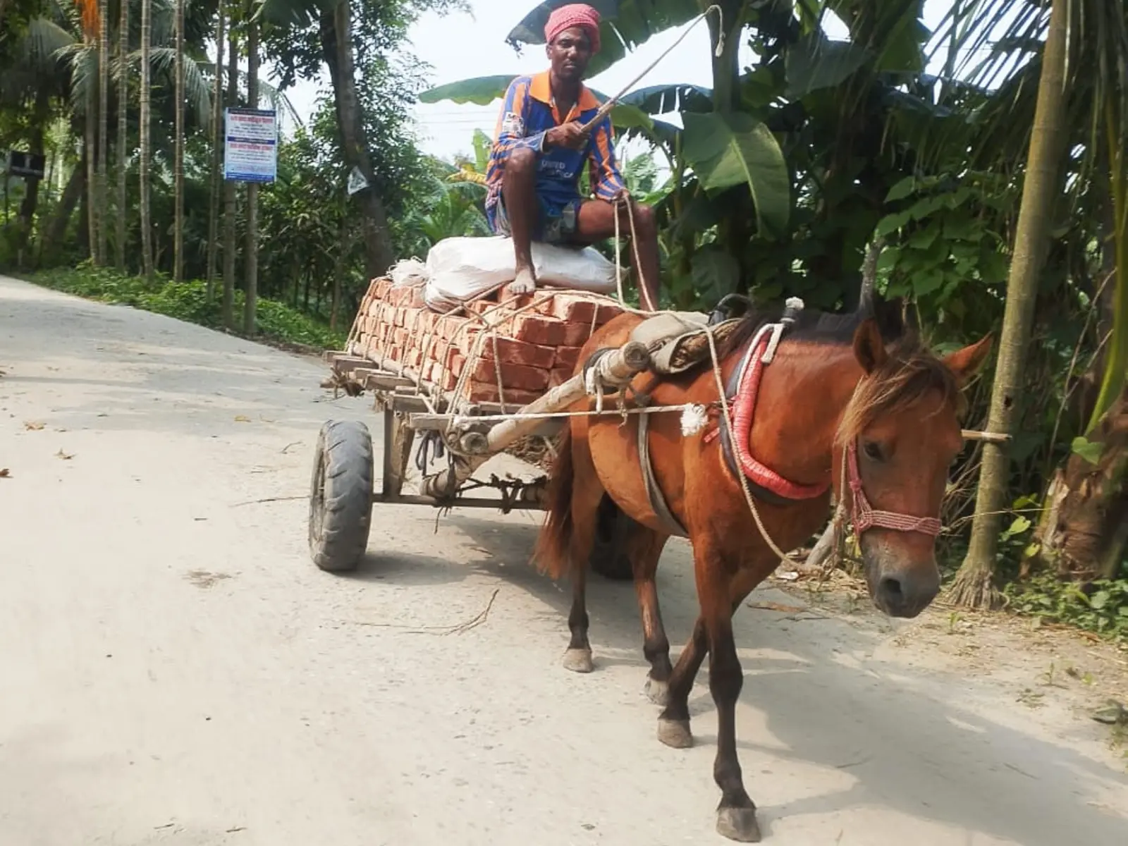 Farm produce moving along a local market path