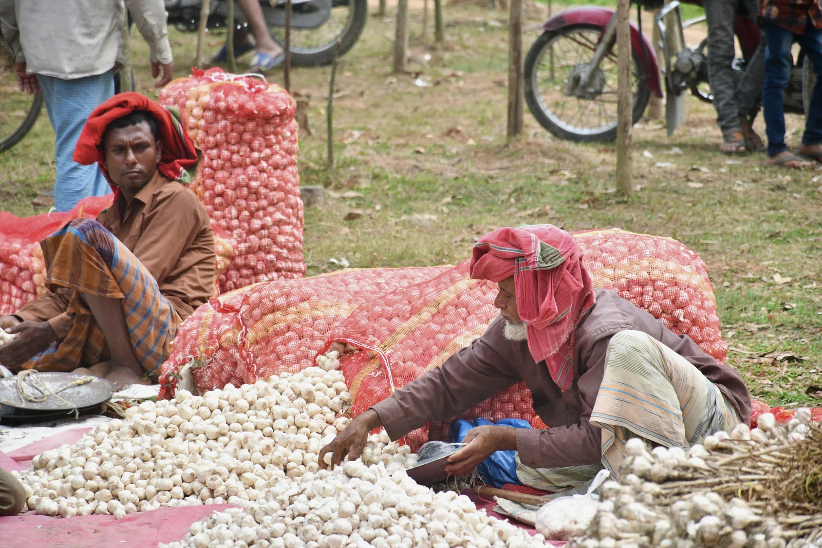 Village market activity in northern Bangladesh