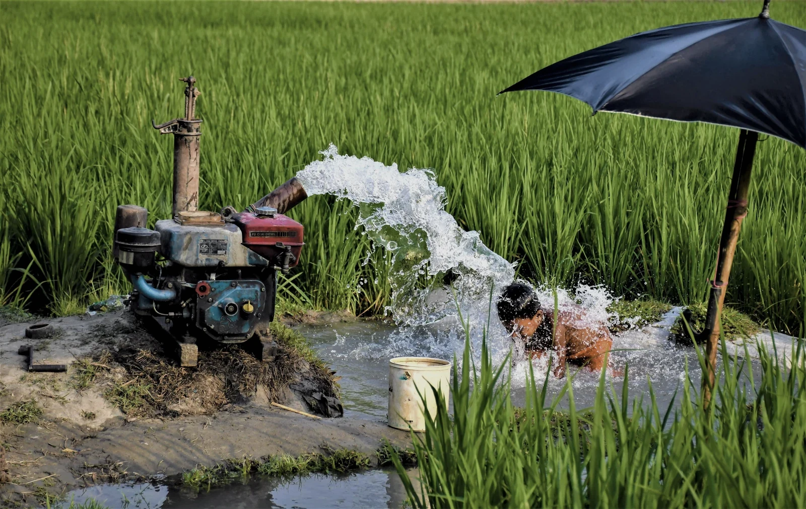 Irrigation activity in northern Bangladesh