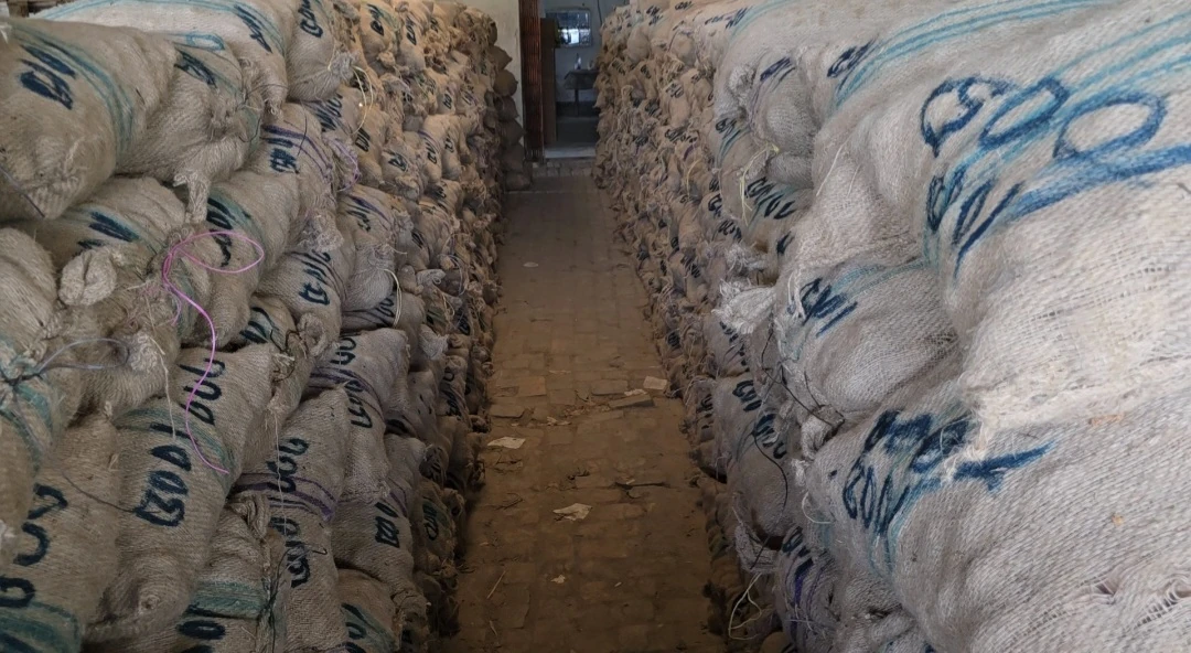 Sacks of potatoes stacked along an aisle in Faridpur