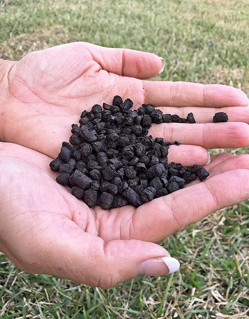Black biochar material held in two hands