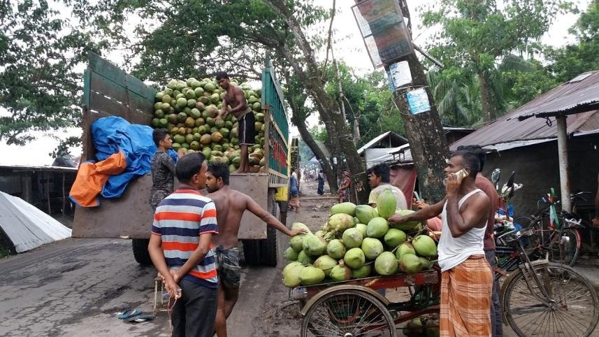 Green coconuts being handled at a market in Bagerhat