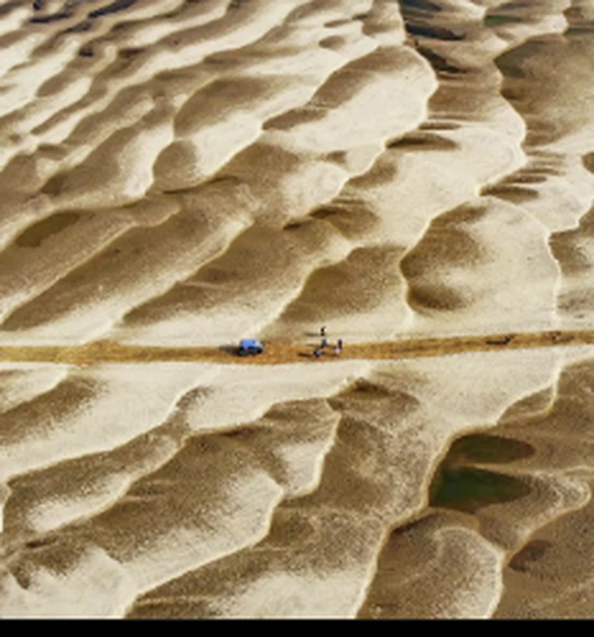 Seasonally exposed riverbed with rippled sand