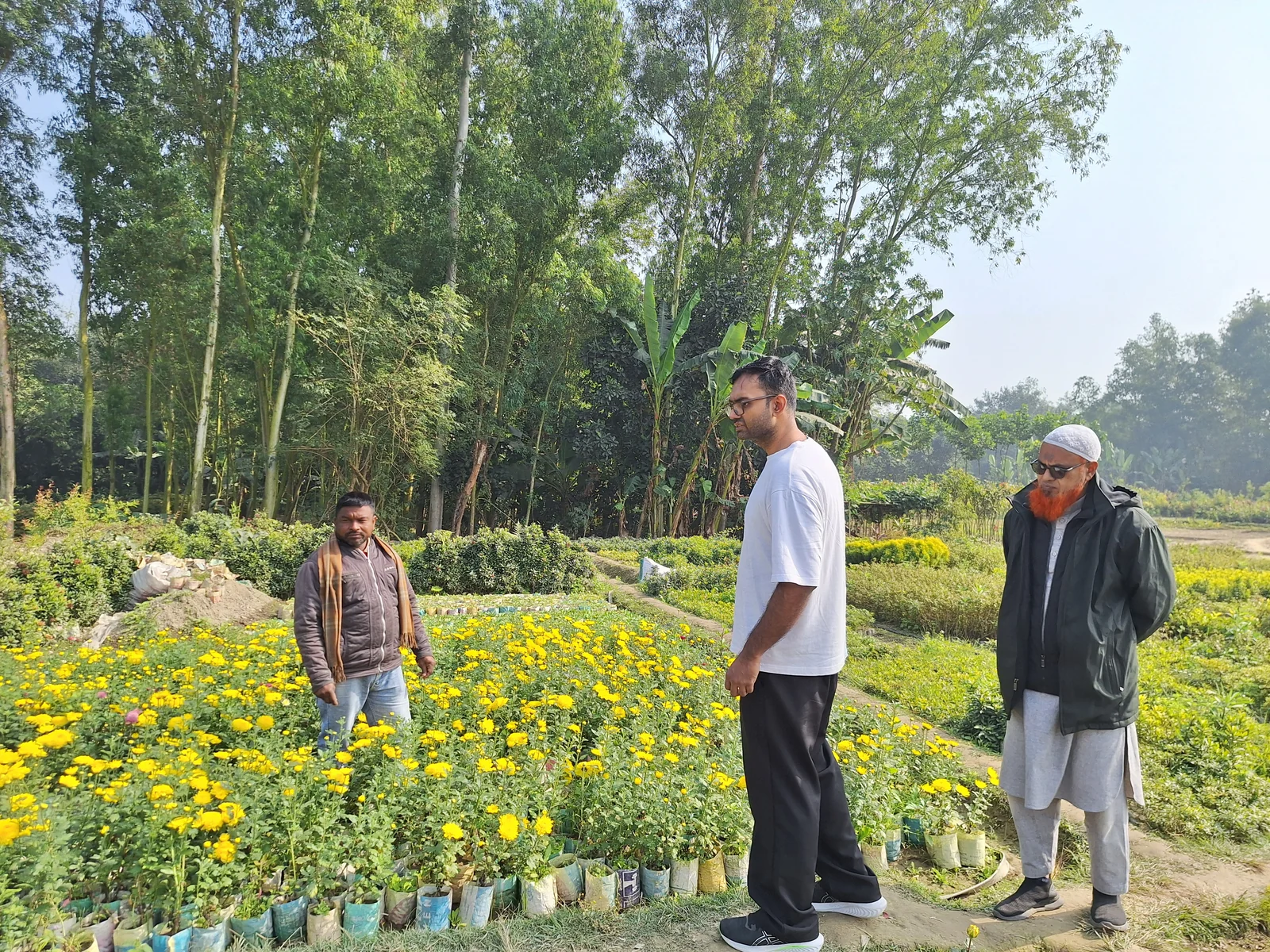 Field team members discussing nursery operations among flowering plants in Bogra