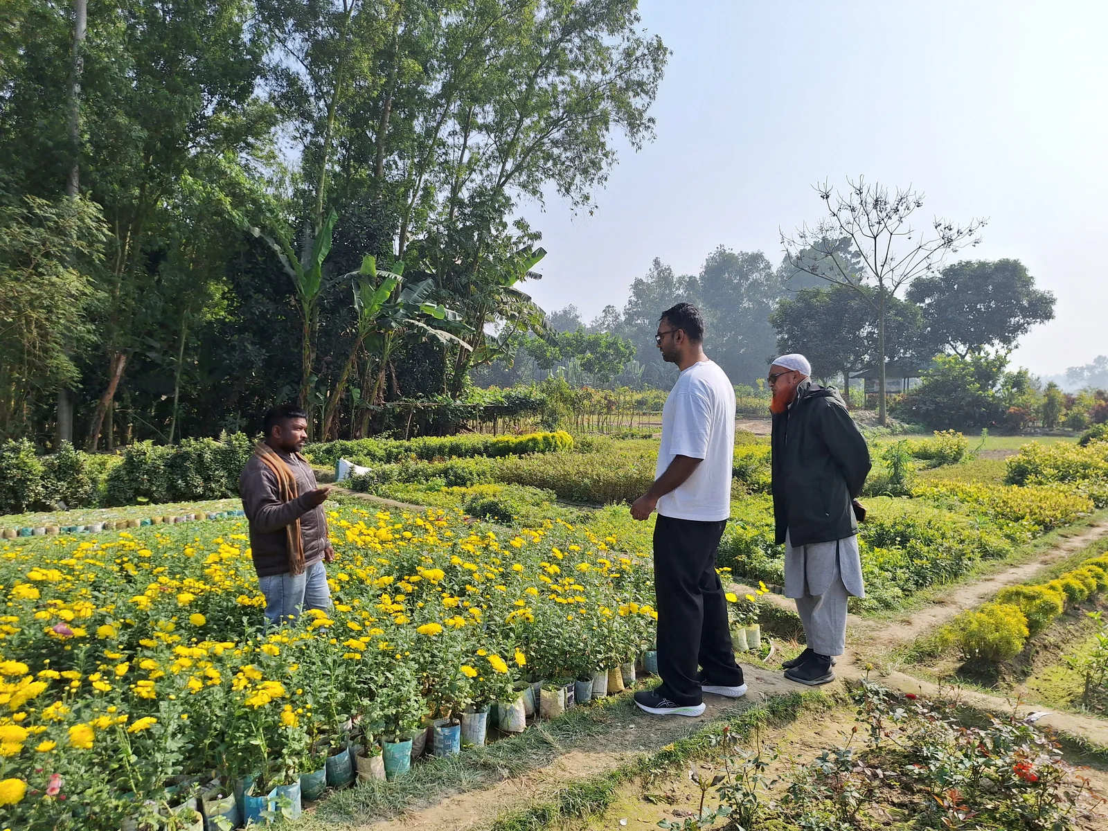 Field visitors discussing an organised flower nursery in Bogra, Bangladesh