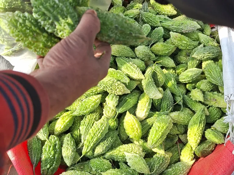 Produce quality check