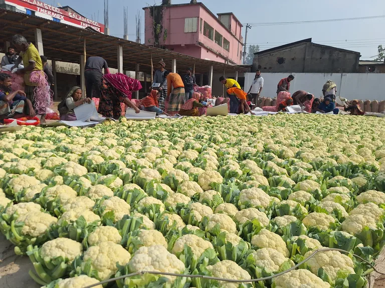 Produce in a wholesale market
