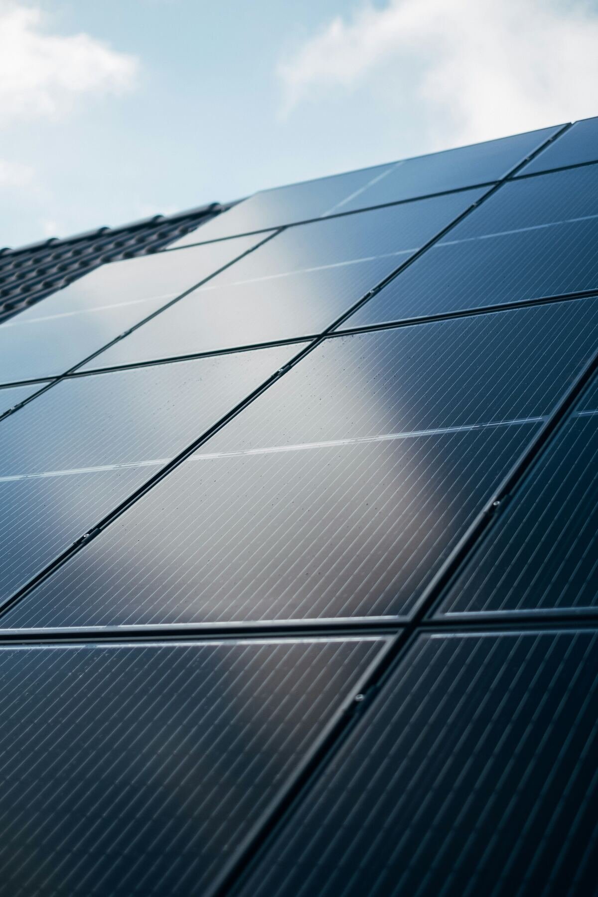 Solar cool chain field system